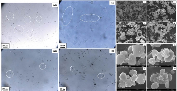 Characterisation of bioresourced hydroxyapatite containing silver nanoparticles