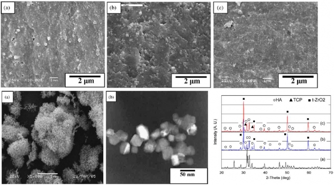 Consolidation and mechanical properties of nanostructured hydroxyapatite-(ZrO2+ 3 mol% Y2O3)bioceramics by high-frequency induction heat sintering