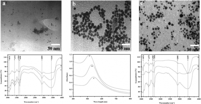 Stabilization of gold nanoparticles by hydrophobically-modified polycations