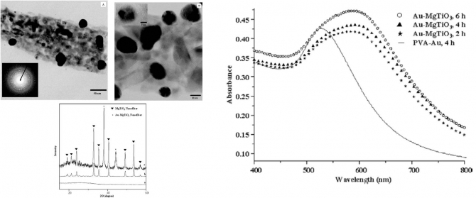 Deposition of Gold Nanoparticles on Electrospun MgTiO3 Ceramic Nanofibers