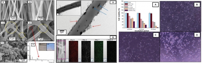 Preparation, characterization, and cytotoxicity of CPT/Fe2O3-embedded PLGA ultrafine composite fibers: a synergistic approach to develop promising anticancer material