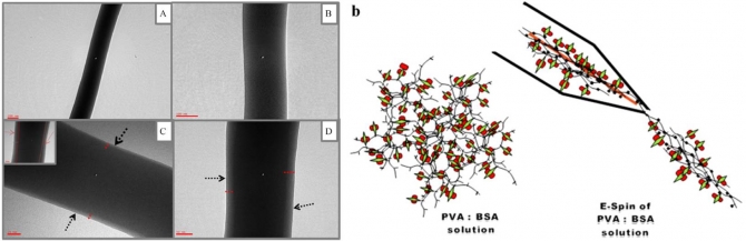 Electrospun core–shell nanofibers from homogeneous solution of poly(vinyl alcohol)/bovine serum albumin