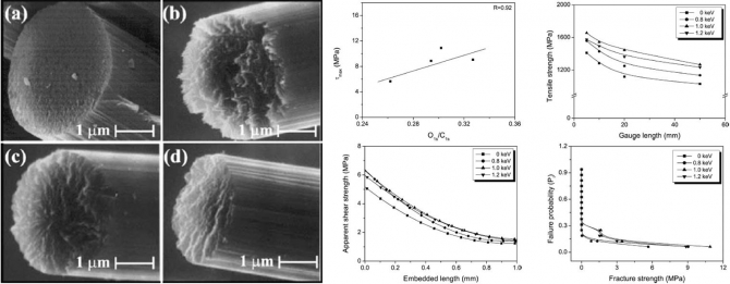Studies on PAN-based carbon fibers irradiated by Ar+ ion beams
