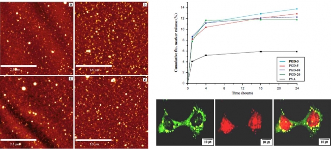 In vitro evaluation of poly(caporlactone) grafted dextran (PGD) nanoparticles with cancer cell