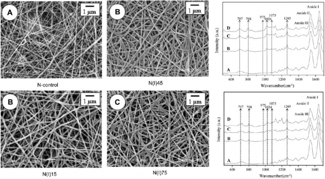 Effect of Collector Temperature and Conductivity on the Chain Conformation of Nylon 6 Electrospun Nanofibers 