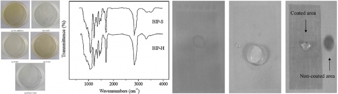 Synthesis and three dimensional pattern finishing properties of blockde isocyanate prepolymers