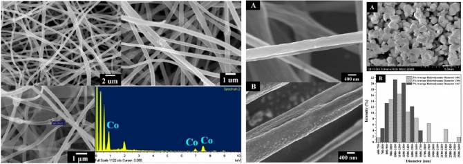 Polymeric nanofibers containing solid nanoparticles prepared by electrospinning and their applications