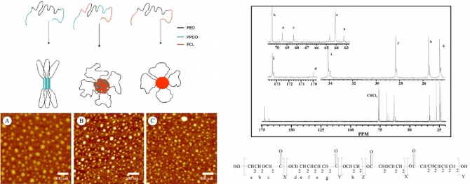 Novel amphiphilic triblock copolymer based on PPDO PCL and PEG: Synthesis  characterization and aqueous dispersion