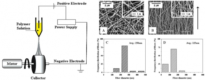 Polarized FT-IR Study of Macroscopically Oriented Electrospun Nylon-6 Nanofibers