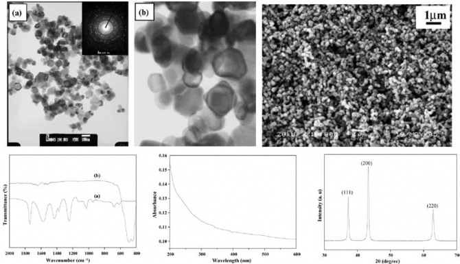 Synthesis of nickel oxide nanoparticles using nickel acetate and poly(vinyl acetate) precursor