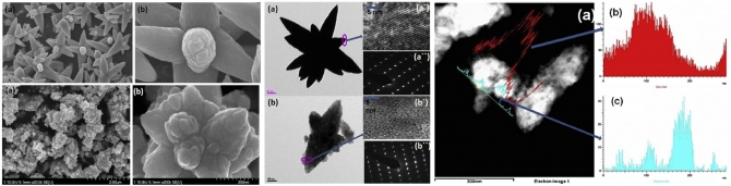 Synthesis, characterization, and photocatalytic properties of ZnO nano-flower containing TiO2 NPs