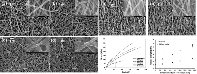 Enhanced Mechanical Properties of Multilayer Nano-Coated Electrospun Nylon 6 Fibers via a Layer-by-Layer Self-Assmbly 