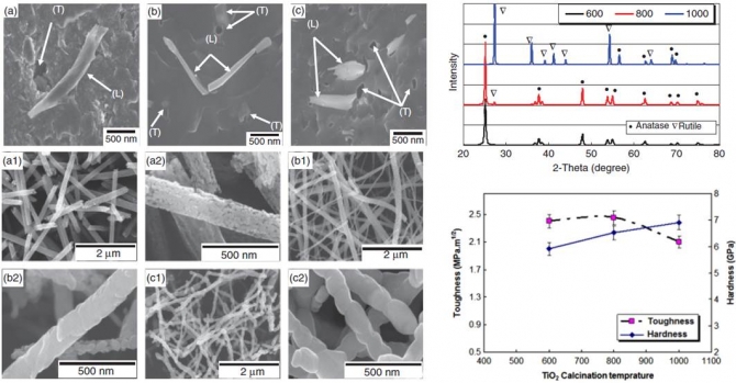 A Novel Bio-Nanocomposites Composed of Hydroxyapatite Reinforced with TiO2 Electrospun Nanofiber Consolidated Using High-Frequency Induction Heating