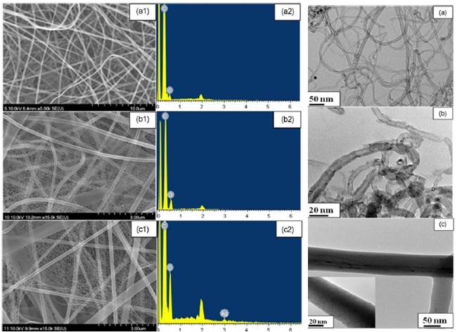 Enhanced Electrical Properties of Electrospun Nylon66 Nanofibers Containing Carbon Nanotube Fillers and Ag Nanoparticles