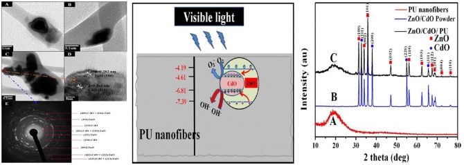 Encapsulation of CdO/ZnO NPs in PU electrospun nanofibers as novel strategy for effective immobilization of the photocatalysts