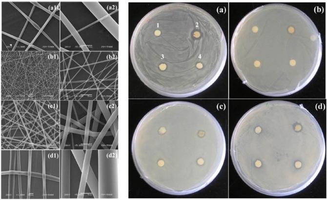 Influence of antimicrobial additives on the formation of rosin nanofibers via electrospinning 