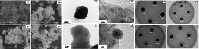 Synthesis and characterization of bovine femurbone hydroxyapatite containing silver nanoparticlesfor the biomedical applications