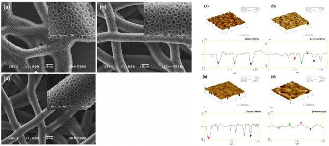 Fabrication of highly porous poly (epsilon-caprolactone) microfibers via electrospinning
