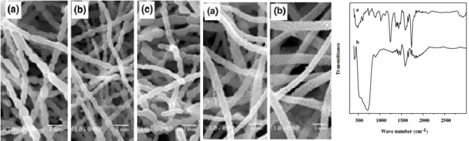Ruthenium doped TiO2 fibers by electrospinning