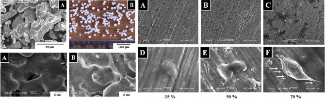 Novel production method and in-vitro cell compatibility of porous Ti-6Al-4V alloy disk for hard tissue engineering 