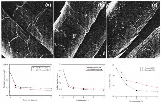 Combined effect of corona discharge and enzymatic treatment on the mechanical and surface properties of wool