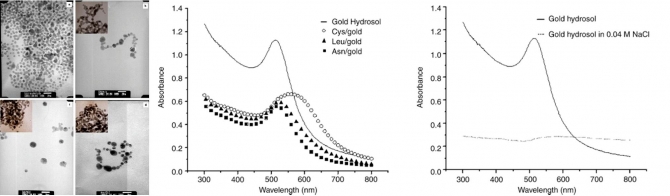 Study of electrolyte induced aggregation of gold nanoparticles capped by amino acids