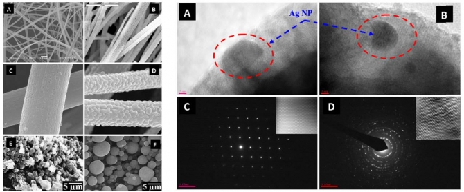 Influence of temperature on the photodegradation process using Ag-doped TiO2 nanostructures: Negative impact with the nanofibers