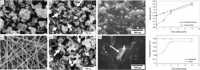 Novel mechanism to improve toughness of the hydroxyapatite bioceramics using high-frequency induction heat sintering