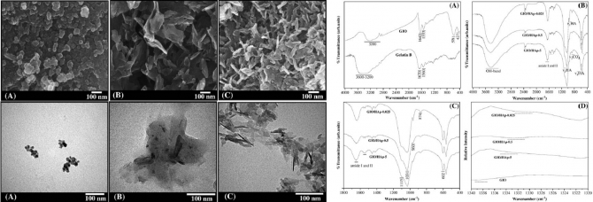 Gelatin stabilized iron oxide nanoparticles as a three dimensional template for the hydroxyapatite crystal nucleation and growth