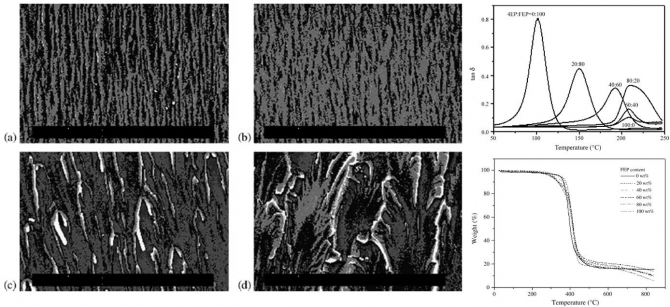 Effect of fluorine functional groups on surface and mechanical interfacial properties of epoxy resins