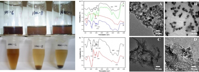 N-Acylated chitosan stabilized iron oxide nanoparticles as a novel nano-matrix and ceramic  modification