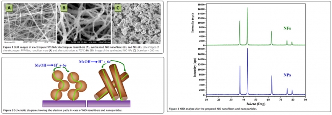 Influence of the nanofibrous morphology on the catalytic activity of NiO nanostructures: an effective impact toward methanol electrooxidation