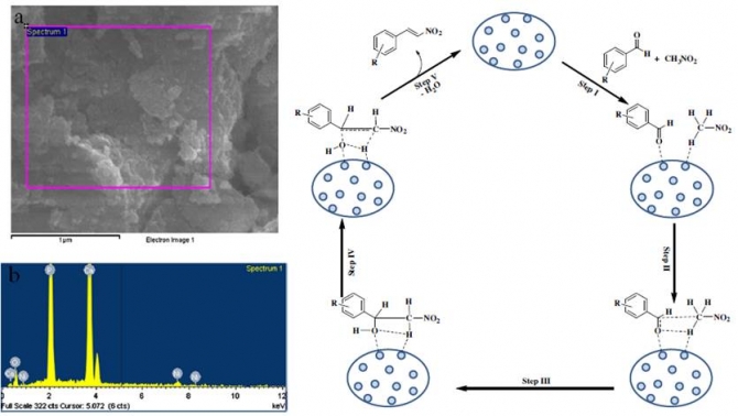 Mesoporous nickel hydroxyapatite nanocomposite for microwave-assisted Henry reaction