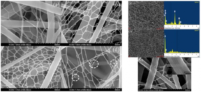 Synthesis and characterization of spider-web-like electrospun mats of -aramid