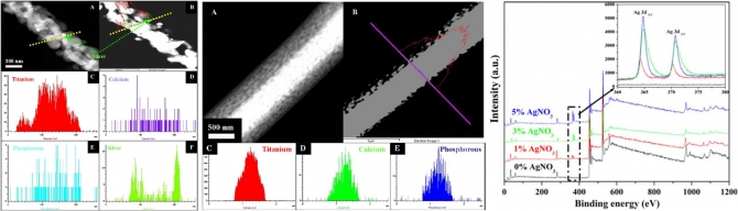 Electrospun titanium dioxide nanofibers containing hydroxyapatite and silver nanoparticles as future implant materials 