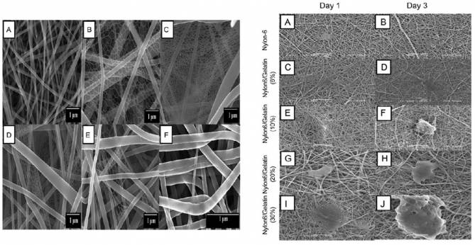 Preparation and Characterization of Nylon-6/Gelatin Composite Nanofibers Via Electrospinning for Biomedical Applications