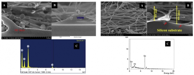 Pd-doped Co nanofibers immobilized on a chemically stable llic bipolar plate as novel strategy for direct formic acid fuel cells