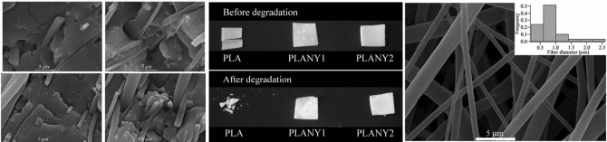 Electrospun nylon fibers for the improvement of mechanical properties and for the control of degradation behavior of poly(lactide)-based composites
