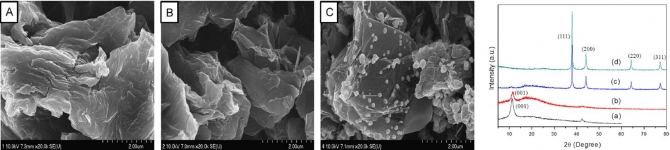 Characterization and antibacterial properties of aminophenol grafted and  Ag NPs decorated graphene nanocomposites
