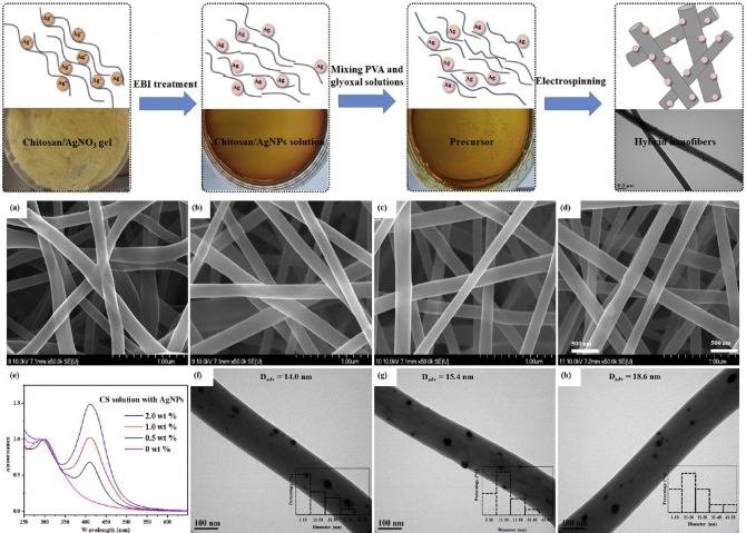 Fabrication and durable antibacterial properties of electrospun chitosan nanofibers with silver nanoparticles