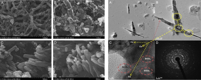 Synthesis and characterization of Co/SrCO3  nanorods-decorated carbon nanofibers as novel electrocatalyst for methanol oxidation in alkaline medium