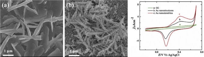 Nicotinamide adenine dinucleotide assisted direct electrodeposition of gold nanodendrites and its electrochemical applications