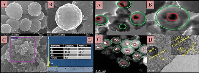 ZnO@C (core@shell) microspheres derived from spent coffee grounds as applicable non-precious electrode material for DMFCs